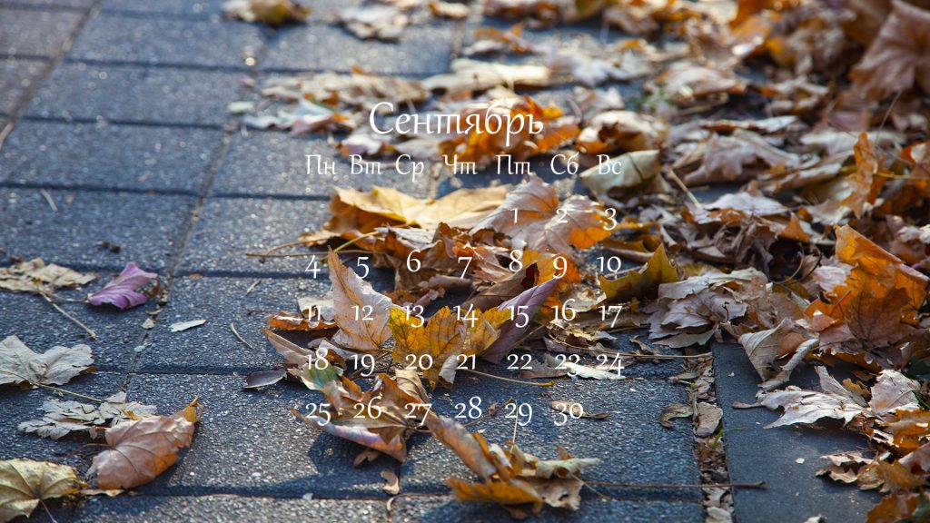 осенние листья на земле календарь