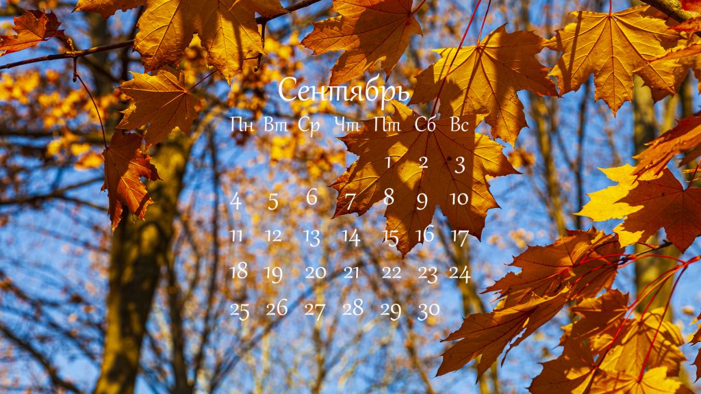календарь на сентябрь с осенними листьями