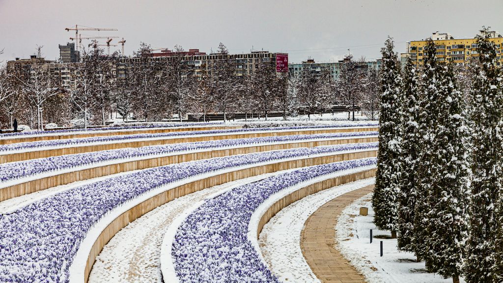 зимний парк Галицкого