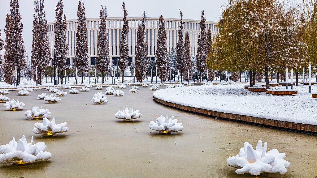 парк Галицкого зимой